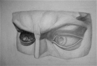 David’s eyes drawing studies